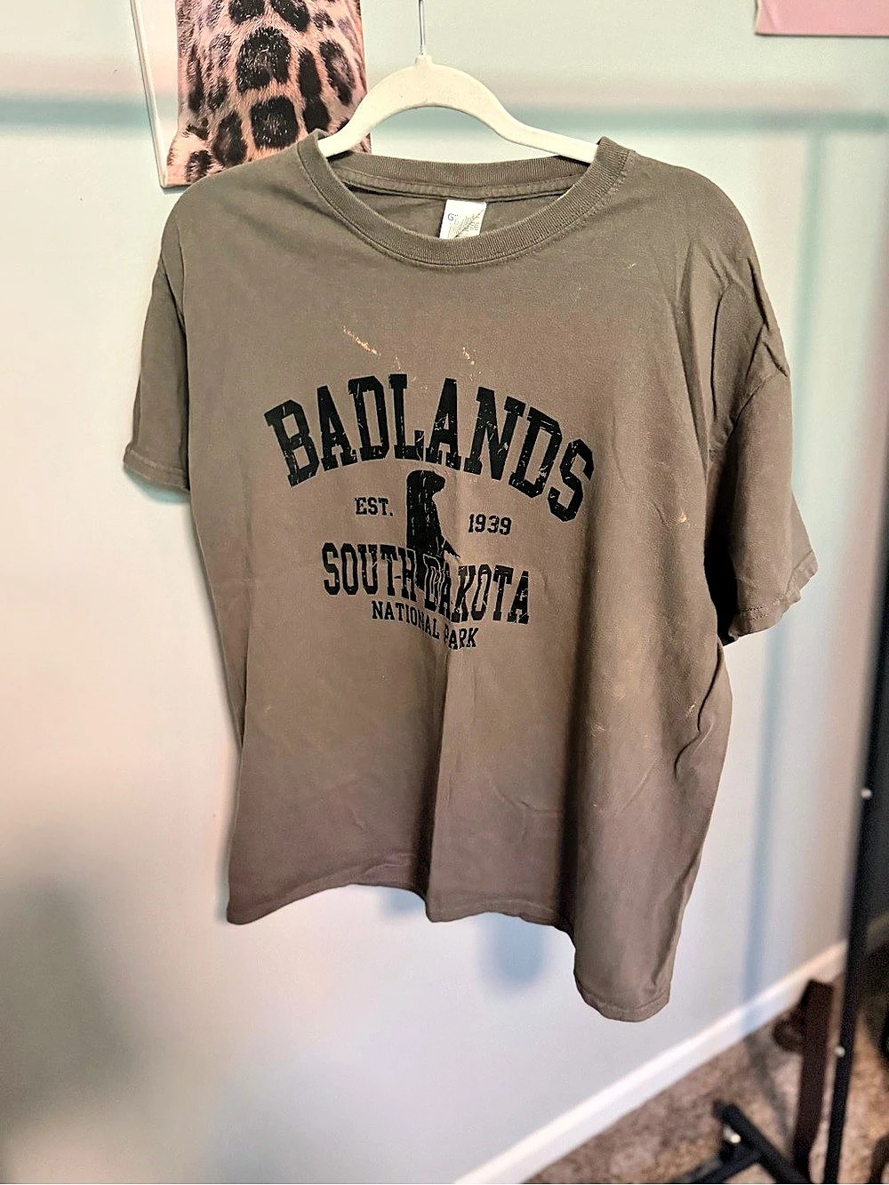 Gildan Badlands South Dakota Graphic Tee in Brown